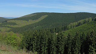 Der Härdler (756,0 m), Hauptberg der Rüsper Rothaar, von Westen