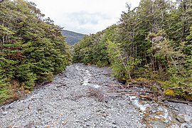 Hodgson Stream, Nelson Lakes National Park, New Zealand.jpg