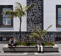 Looking sitting on a bench near the Altice building, Ponta Delgada, São Miguel Island, Azores, Azores, Portugal (PPL1-Corrected).jpg