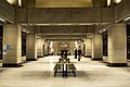 Nine Elms Station, platform concourse