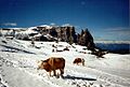 Wintereinbruch in der Seiser Alm