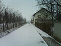 Winter in Temerin