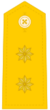 Teniente Coronel