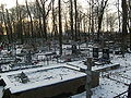 Tombes du cimetière Volkovo