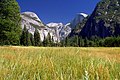 Yosemiten kansallispuisto