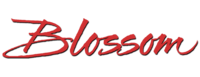 Blossom TV show logo.png