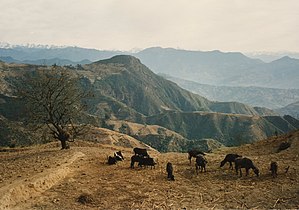 Near Chipling on Helambu trek