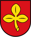 Salzkotten, ville