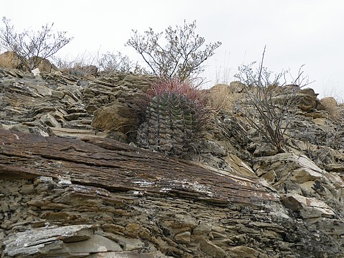 Habitat in Piedras Blancas, Coahuila