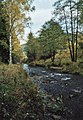 O rio Innerste em Lautenthal.