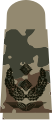 black emblem on 3-color-flecktarn – Luftwaffe (Lieutenant colonel)