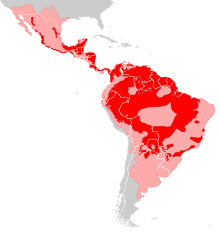 Distribución de Panthera onca. En rosa las zonas donde se ha extinguido, en rojo las zonas donde perdura.[2]​