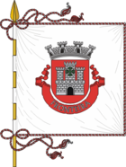 Flagge von Fronteira