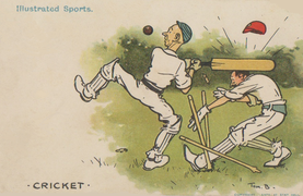 Tom Browne, Illustrated Sports Cricket.png