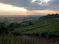 Weinbau an der nördlichen Frankenhöhe bei Ipsheim. Blick auf Burg Hoheneck.