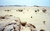 Пустеля поблизу Агадез, з горами Аїр позаду. Зверніть увагу на вулканічні виходи, поширені в Аїрі.