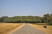 De Grote Banyan is een andere bekende Ficus benghalensis in India