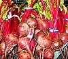 Bunches of beets