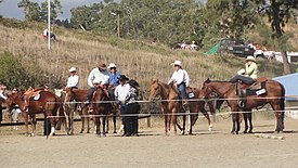 «Broussards» en la Feria de Bourail.