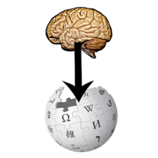 From brain to Wikipedia