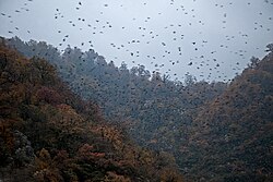 ذخیره‌گاه زیست‌کره گلستان