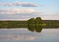 * Nomination Lake Halkjärvi --Petritap 18:41, 4 August 2010 (UTC) * Promotion Not convinced about the colour balance --Mbdortmund 01:56, 5 August 2010 (UTC) Pic was taken after eight in the evening as sun was setting. This is how the colors and lighting were at that time. --Petritap 06:14, 5 August 2010 (UTC)  Comment I see nothing weird, we have scenes like this all the time here in Finland. Pitke 07:37, 5 August 2010 (UTC) I agree the lighting is weird, but if this is realistic then promotion. Mattbuck 21:10, 12 August 2010 (UTC)