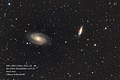 M81 und M82 mit einem Amateurteleskop