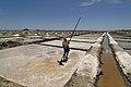 Salt Pans, Marakkanam