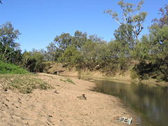 Berge sableuse, Rivière Namoi (NSW, Australie).