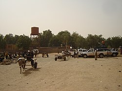 Ayorou Market