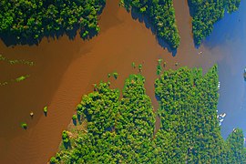 Sur un virage de l'avion, vue sur les eaux limoneuses du Rio Solimões, le « tronc principal » (même jour).