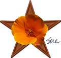 The Executive Director's Barnstar is given out by Sue Gardner. Its purpose is to recognize, celebrate and thank Wikimedians who are making a significant contribution to the projects. See "What is the Executive Director's Barnstar?" for more information. Designed by Frank Schulenburg