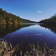 Svartdalstjerna Lakes Primeval Forest Nature Reserve of the Totenaasen Hills in Norway 34.jpg