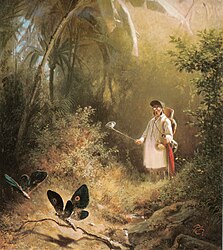 The Butterfly Hunter 1840