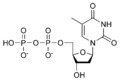 Desoxitimidina difosfat dTDP