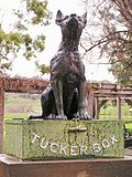 Thumbnail for Dog on the Tuckerbox