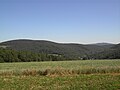 The "Feldberg" and the "Pferdskopf"