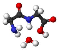 Glycine-condensation-2-3D-balls.png