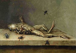 Rana muerta con moscas (1630), Fondation Custodia, París