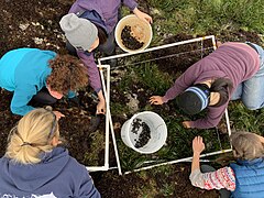 Intertidal transect quadrat sampling.jpg