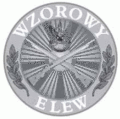Odznaka tytułu honorowego "Wzorowy Elew" (wzór 2010).