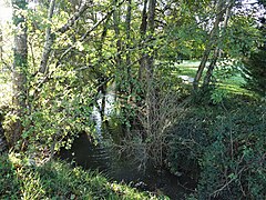 Le ruisseau de Ladoux près du lieu-dit Carrière.