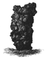 Fig. 2 Tower-like castings from near Nice, constructed of earth, voided probably by a species of Perichaeta: of natural size, copied from a photograph.
