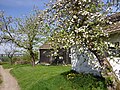 Frühling in Wefelpütt