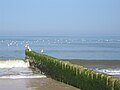 Groyne near Westerland