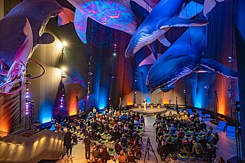 Riesen der Meere im Ozeaneum