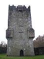 Castillo de Aughnanure - La torre de los O'Flahertys