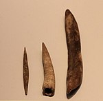 أدوات عظمية أورينياسية (إبرة ، ومخرز وأداة ثقب) ، كهف هايونيم ، 30،000 ق.ح.