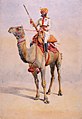 Small bells attached to cloth under camel's head, 1908, Bikaner Camel Corps