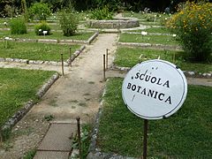 BotanicGardensPisa (12).JPG